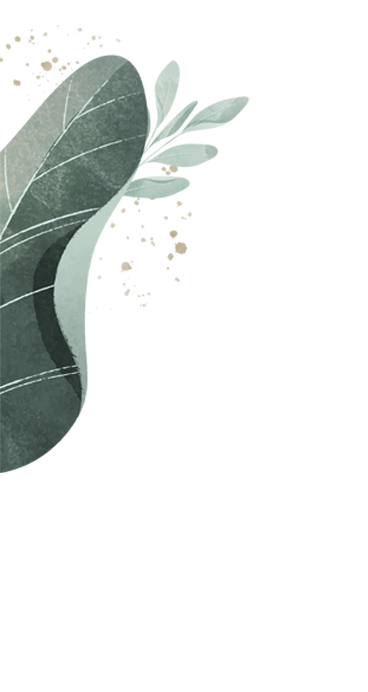 frame kiri atas
